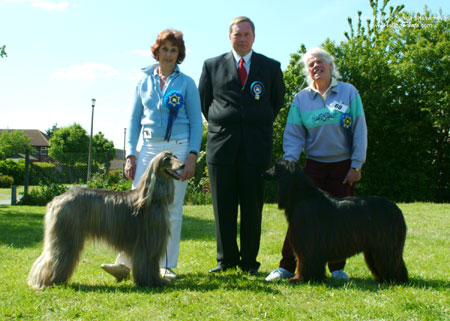 Best Bitches in Show