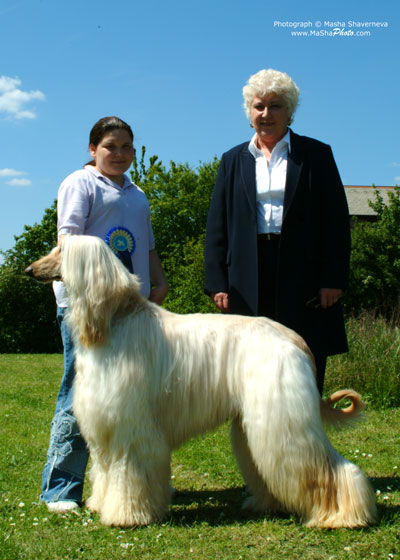 Best Junior Handler in Show